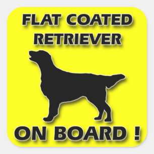 Sticker Carré Retrieur à couche plate
