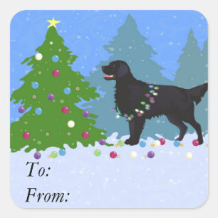 Sticker Carré Retriever à revêtement plat noir - Forêt de Noël