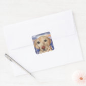 Sticker Carré Retriever du Labrador (Enveloppe)
