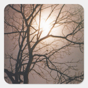 Sticker Carré Rêve lunaire