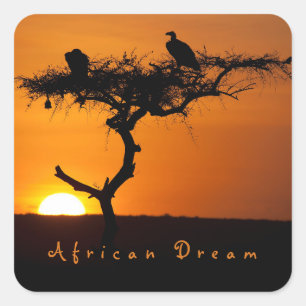 Sticker Carré Rêve romantique d'Afrique photo coucher de soleil