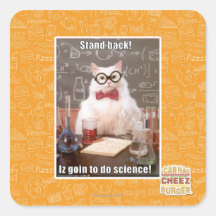 Sticker Carré Reviens !