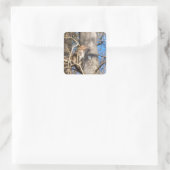 Sticker Carré rhesus macaque singe levrette (Sac)