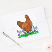 Sticker Carré Rhode Island Red Chicken Aquarelle Violettes (Enveloppe)