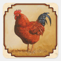Rhode Island Rouge poulet Beige