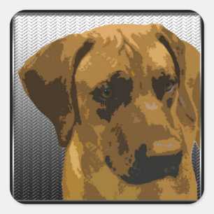 Sticker Carré Rhodesian Ridgeback