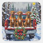 Sticker Carré Rhodesian Ridgeback Christmas Red Truck Holiday (Devant)
