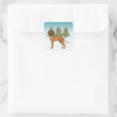 Sticker Carré Rhodesian Ridgeback Lion Dog Snowy Winter Forest (Sac)