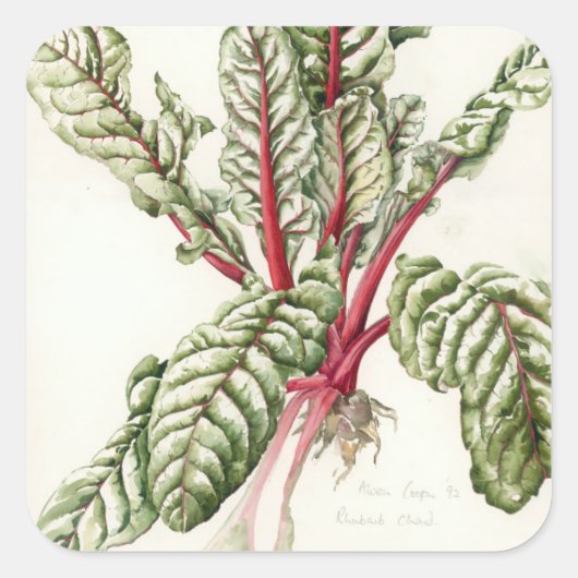 Sticker Carré Rhubarb Chard 1992 (Devant)