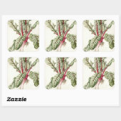 Sticker Carré Rhubarb Chard 1992 (Feuille)