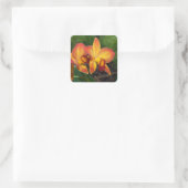 Sticker Carré Rhyncattleanthe Love Tapestry (Sac)