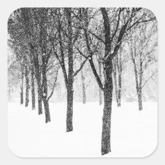 Sticker Carré ris I side with trees