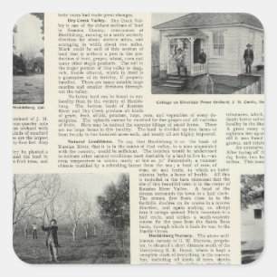 Sticker Carré Riverdale Prune Orchard, Californie