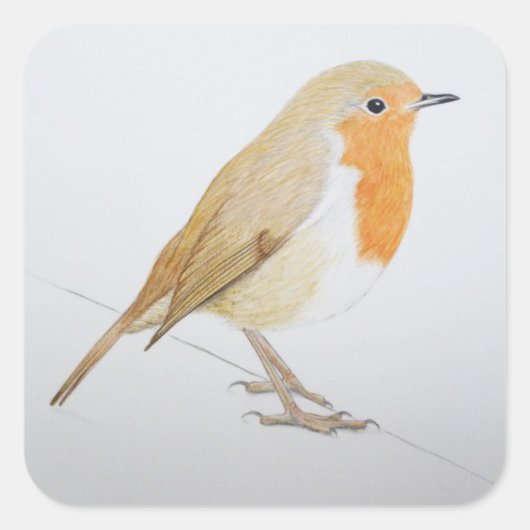 Sticker Carré Robin 2011 (Devant)