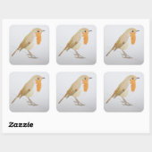 Sticker Carré Robin 2011 (Feuille)