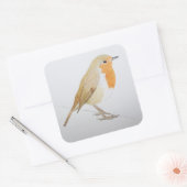 Sticker Carré Robin 2011 (Enveloppe)