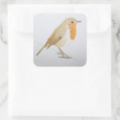 Sticker Carré Robin 2011 (Sac)