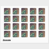 Sticker Carré Robin Nest et Oeufs (Feuille)