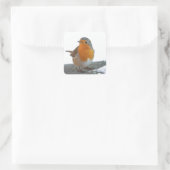 Sticker Carré Robin Red Breast (Sac)