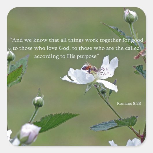 Sticker Carré Romains 8:28 (Devant)