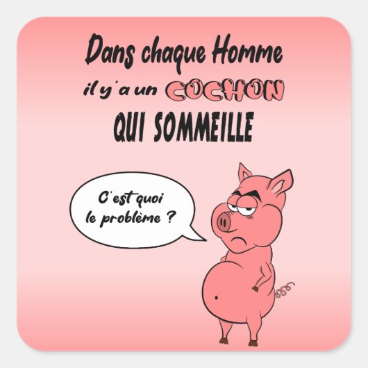 Sticker Carré Ronchon le cochon (Devant)