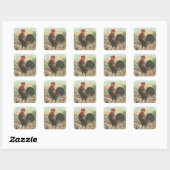 Sticker Carré Rooster (Feuille)