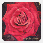 Sticker Carré Rosa Kardinal [Square Seal] (Devant)
