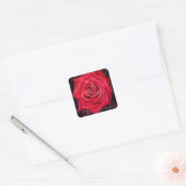 Sticker Carré Rosa Kardinal [Square Seal] (Enveloppe)
