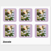 Sticker Carré Rose Blanche (Feuille)