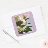 Sticker Carré Rose Blanche (Enveloppe)