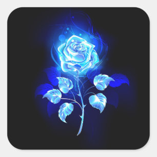 Sticker Carré Rose bleu brûlant