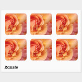 Sticker Carré Rose Blossom / Apricot Peach / Citation Inspiratio (Feuille)