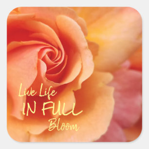 Sticker Carré Rose Blossom / Apricot Peach / Citation Inspiratio