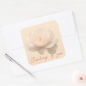 Sticker Carré Rose et blanc (Enveloppe)