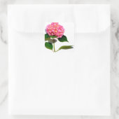 Sticker Carré Rose Hydrangea rose fleur rose rose floral (Sac)