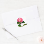 Sticker Carré Rose Hydrangea rose fleur rose rose floral (Enveloppe)