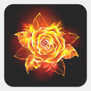 Sticker Carré Rose incendie en floraison