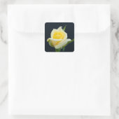 Sticker Carré Rose jaune sur l'arrière - plan noir (Sac)