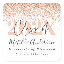 Rose or moderne design parties scintillant graduat