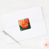 Sticker Carré Rose orange (Enveloppe)