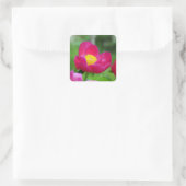 Sticker Carré Rose rose chaud (Sac)