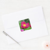 Sticker Carré Rose rose chaud (Enveloppe)