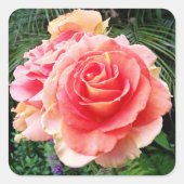 Sticker Carré Rose rose géant gros plan photo belle moderne (Devant)