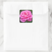 Sticker Carré Rose rose 'Léonard de Vinci' (Sac)