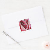 Sticker Carré Rose Rose macro fleurs aquarelle art abstrait (Enveloppe)
