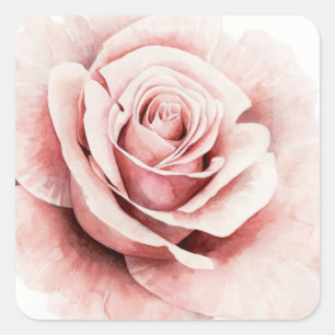 Sticker Carré Rose rose rose rose