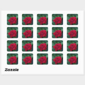 Sticker Carré Rose rouge de près (Feuille)