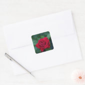 Sticker Carré Rose rouge de près (Enveloppe)