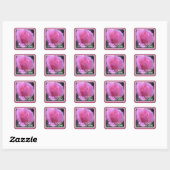Sticker Carré Rose sucré (Feuille)