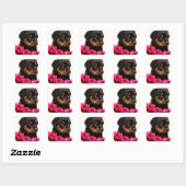 Sticker Carré Rose Valentin Rottweiler Puppy (Feuille)